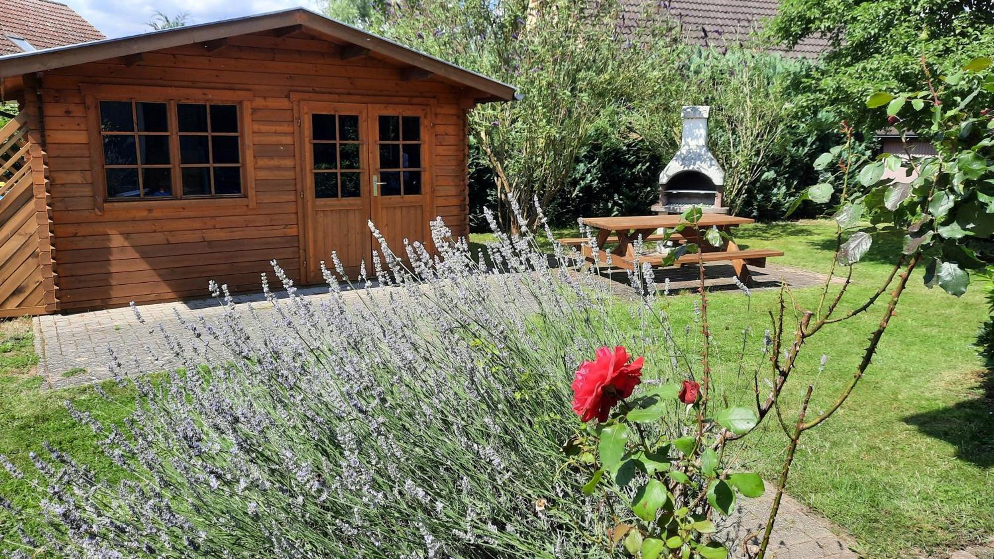 Ferienhaus Sasse Ferienwohnungen Mit Garten & Grill Molschow Exteriör bild